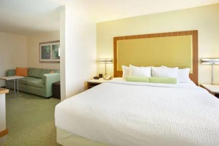 SpringHill Suites Nashville MetroCenter - 30