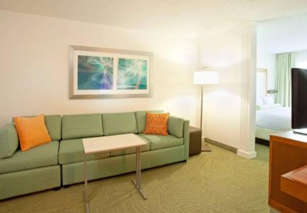 SpringHill Suites Nashville MetroCenter - 20