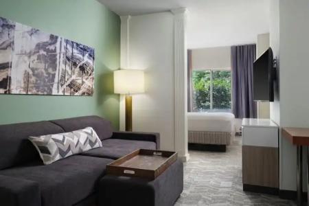 SpringHill Suites Nashville MetroCenter - 44