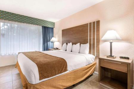 Rodeway Inn & Suites Fort Lauderdale Airport & Cruise Port - 35