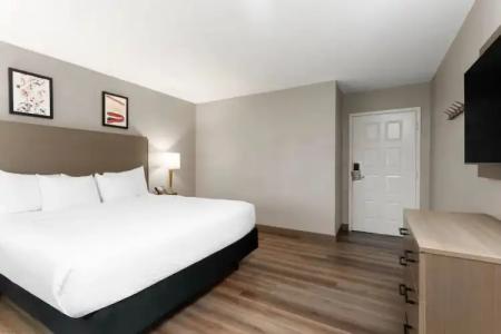 La Quinta Inn & Suites by Wyndham Ft Lauderdale Cypress Cr - 19