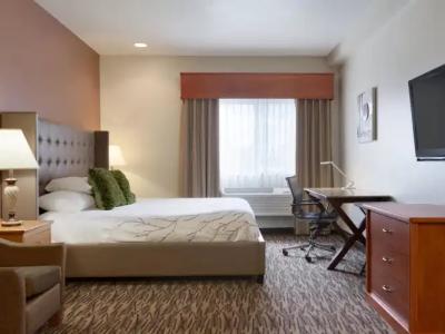 Best Western PLUS Peppertree Airport Inn - 56