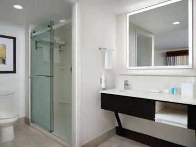 Hampton Inn & Suites Austin-Downtown/Convention Center - 98