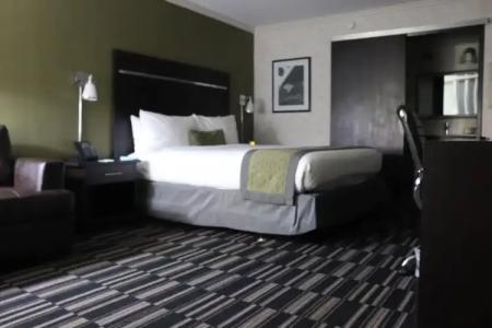 Uptown Oasis San Jose Airport - 40