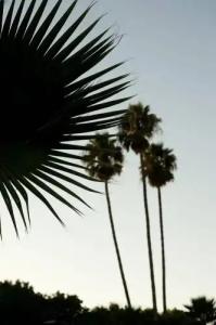 Fairfield Inn & Suites San Jose Airport - 15