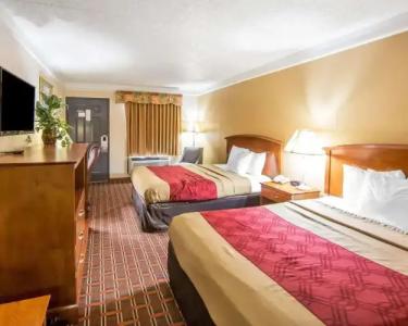 Econo Lodge North Knoxville - 19