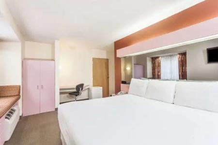 Microtel Inn by Wyndham Knoxville - 4