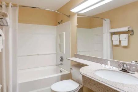 Microtel Inn by Wyndham Knoxville - 7