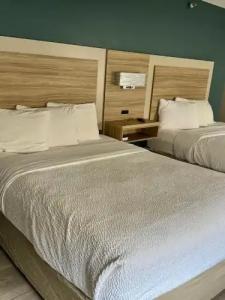 Microtel Inn by Wyndham Knoxville - 36