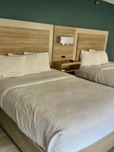 Microtel Inn by Wyndham Knoxville - 20