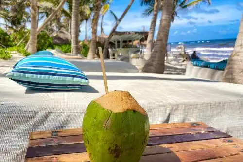 Cabanas Tulum- Beach & Spa - 24