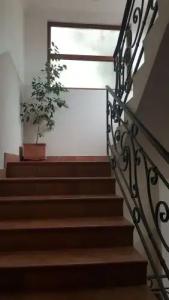 Levantin Inn 13 Room N9 - 14