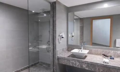 Palais Des Roses Hôtel & Thalasso - 59