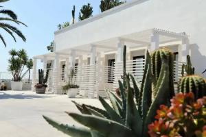 La Bella Trani, Trani