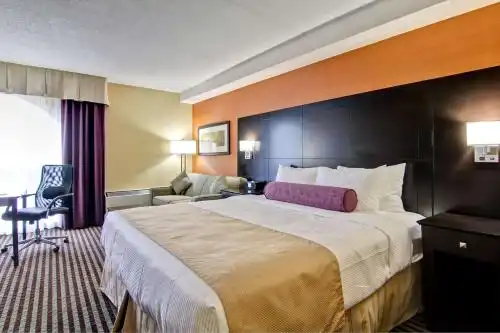 Best Western Plus Toronto North York & Suites - 9