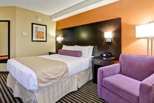 Best Western Plus Toronto North York & Suites - 8