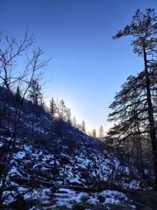 Hotelli Sodankylä - 15