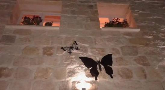 Loggia Mariposa - 31