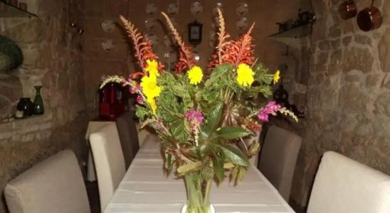 Loggia Mariposa - 19