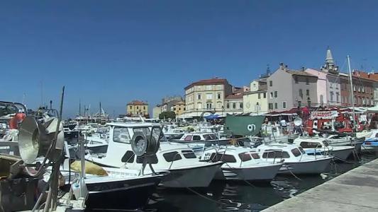 Deluxe Studio G 12 - 20