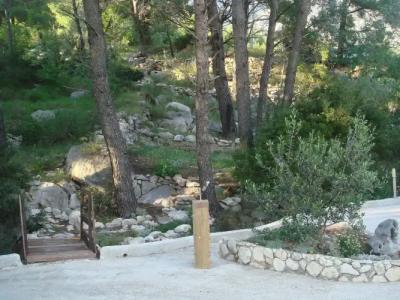 Apartments Ivana - 11