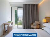 Standard Double room with balcony and with pool view