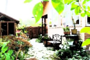 Semeyny Dosug Guest House, Ples