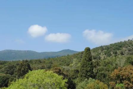 Cap Nègre Hôtel - 49