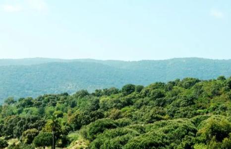 Cap Nègre Hôtel - 29