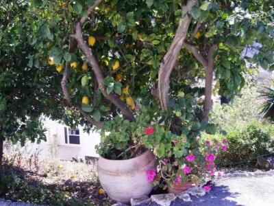 Panorama apartments - 19