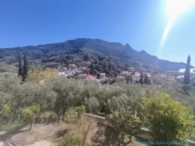 Panorama apartments - 50