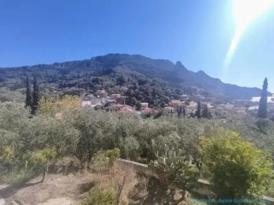 Panorama apartments - 29