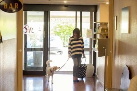 Palace del Conero - 17