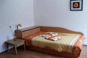 Pop Nikolovata Kushta, Tryavna