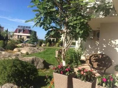 Apolonia Apartments - 29