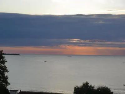Guest House Petrovi - 9