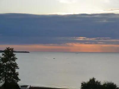 Guest House Petrovi - 8