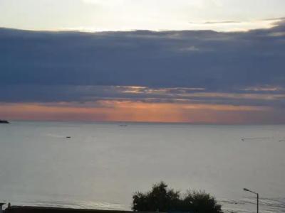 Guest House Petrovi - 10