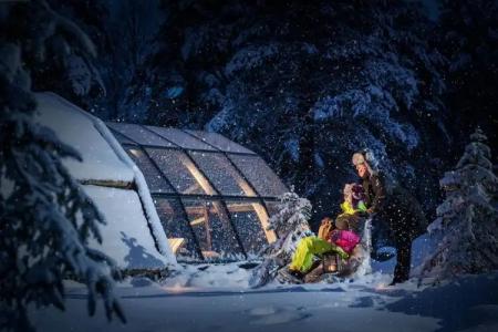 Lapland Northern Lights Ilveslinna Ranua - 13