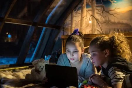 Lapland Northern Lights Ilveslinna Ranua - 15