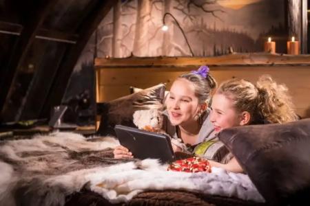 Lapland Northern Lights Ilveslinna Ranua - 16