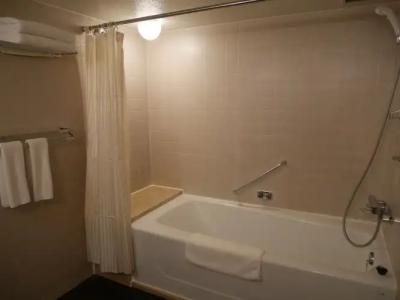 ANA Crowne Plaza Fukuoka, an IHG - 44
