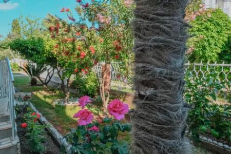 Vila Adriatik - 19