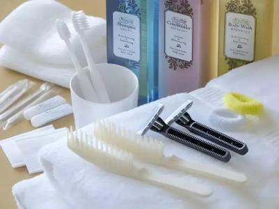 Sapporo Garden Palace - 18