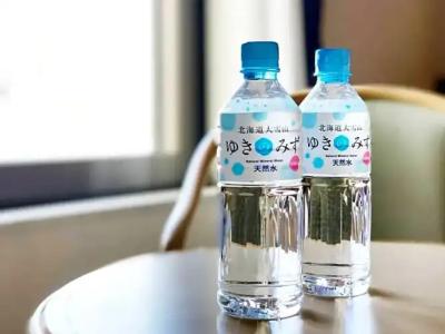 Sapporo Garden Palace - 38