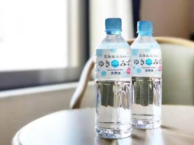 Sapporo Garden Palace - 33