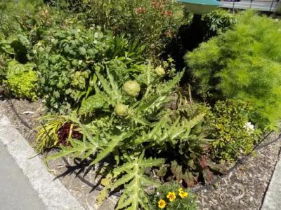 Garden City Motel - 24