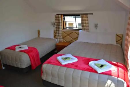 Southern Comfort Motel - 31