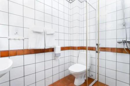 Birkebeineren & Apartments - 8