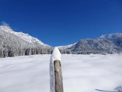 Bergsteiger-"Grüner Hut" - 40